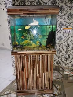 fish