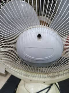 Table fan