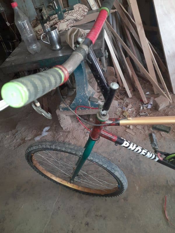 customised cycle 0
