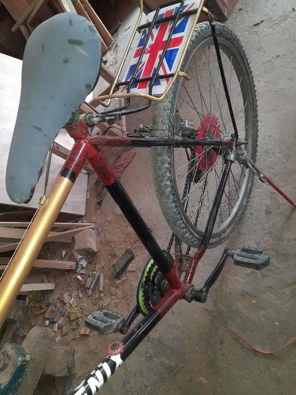 customised cycle 1
