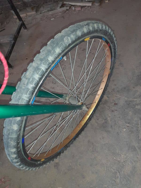 customised cycle 4