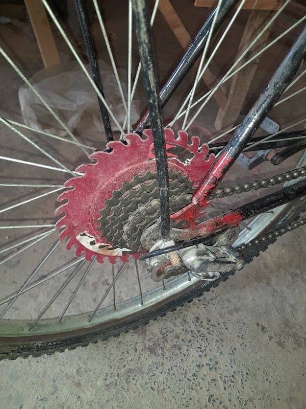 customised cycle 6