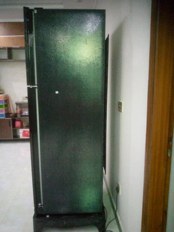 Kenwood large size. 12 year compraser verentty. colour shade blac 2