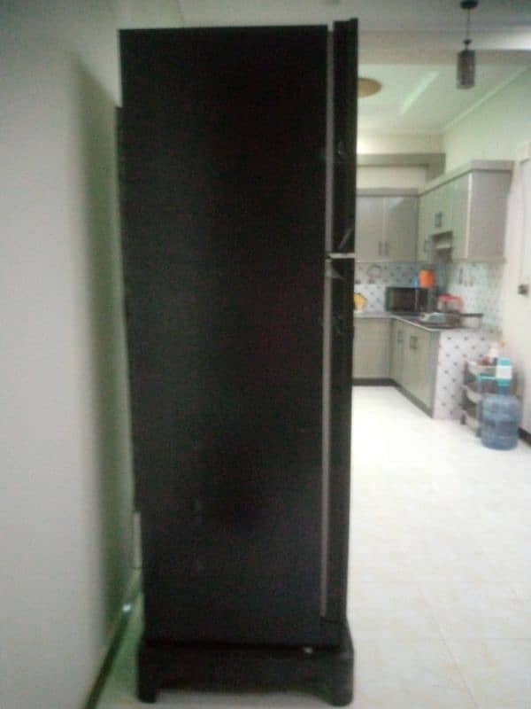 Kenwood large size. 12 year compraser verentty. colour shade blac 6