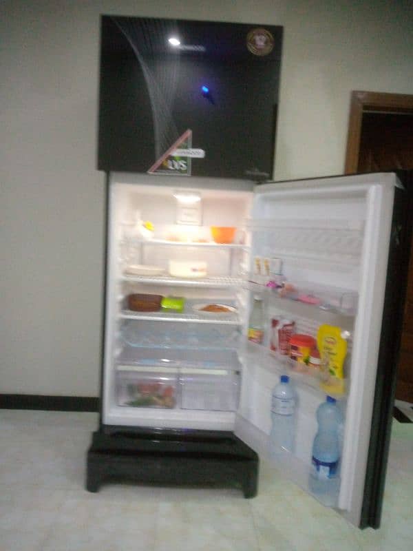 Kenwood large size. 12 year compraser verentty. colour shade blac 7