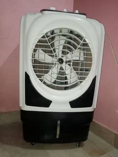 NG