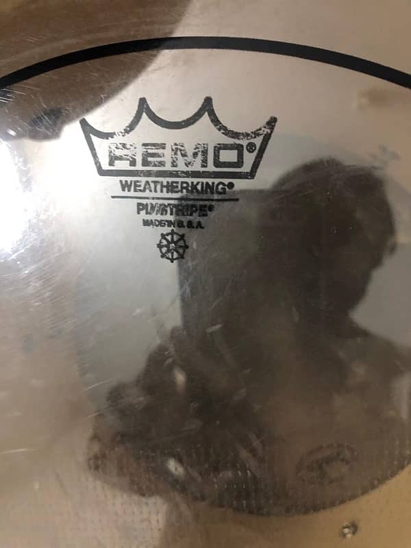 pearl ex export series for sale 4