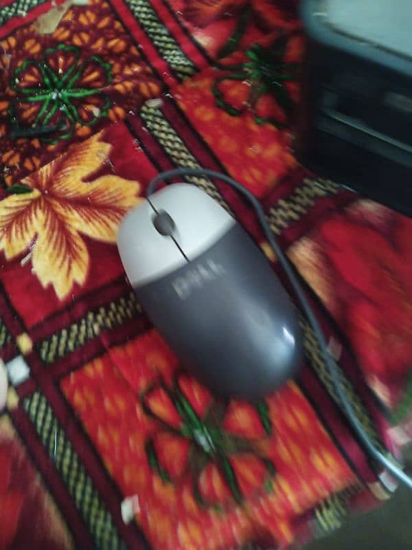 CPU and screen for sale 5