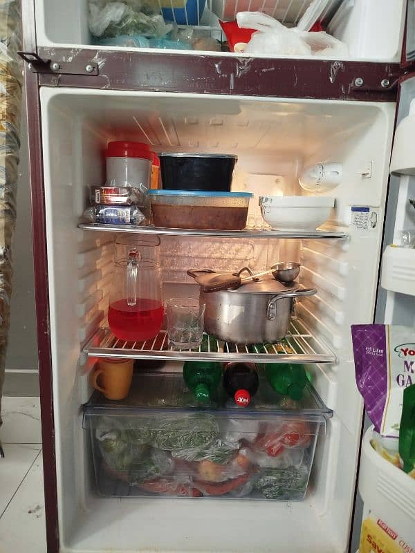 Orient Fridge, 5
