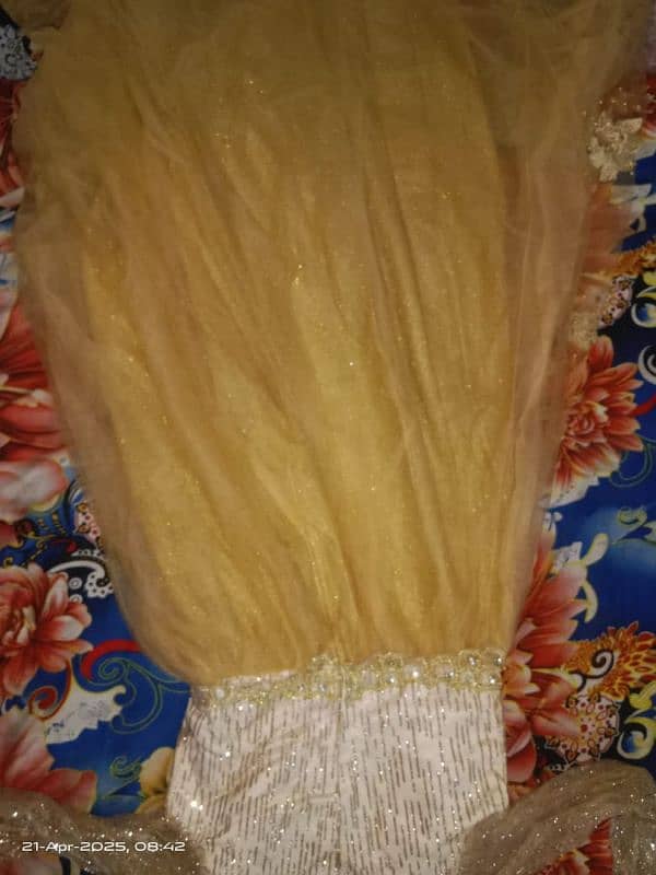 Net barbie frock all pin MOTi work Medium size 3