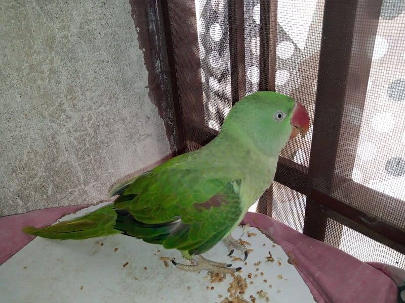 for sale 3