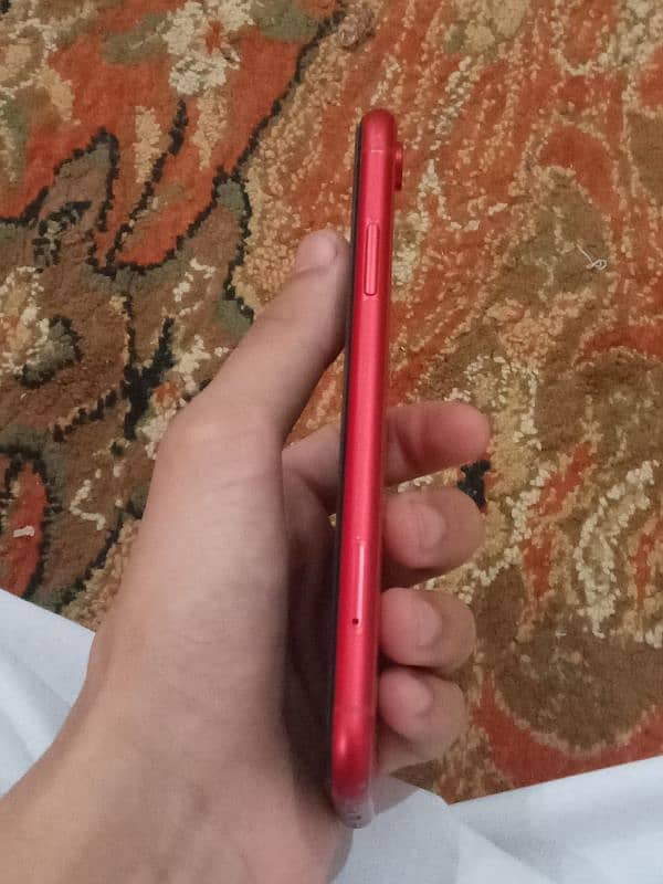 iphone XR 10/10 4