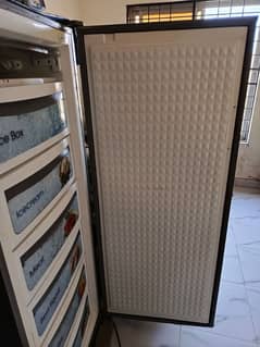 Free standing freezer