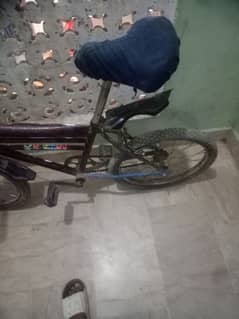 bicycal