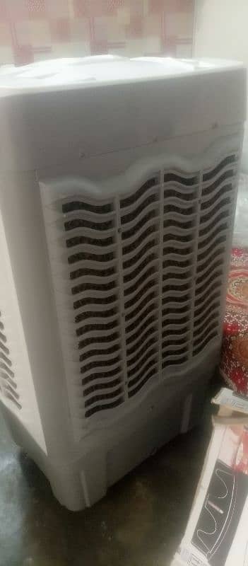 10/10 condition only 2 or 3 week 1