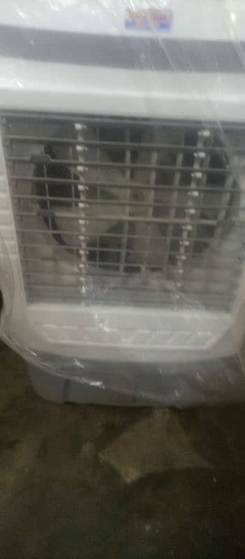 10/10 condition only 2 or 3 week 4