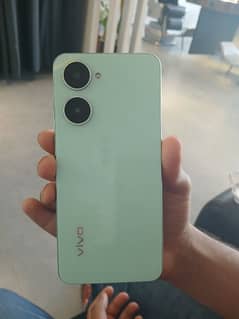 vivo