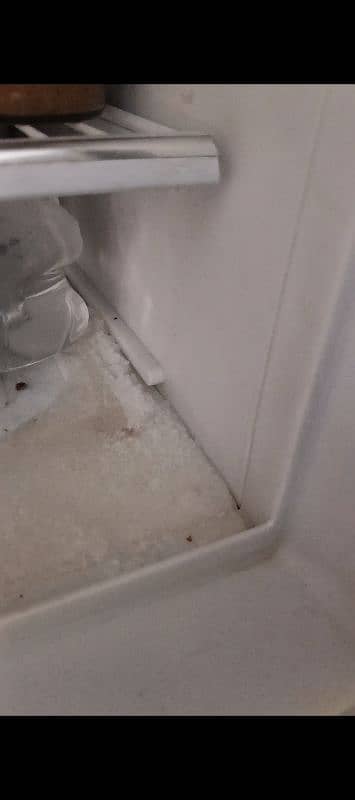 Dawlance Medium Size Fridge 4