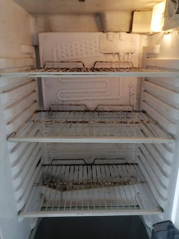 fridge for your daily use 0