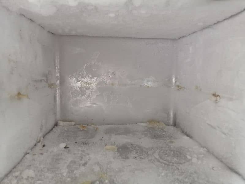 fridge for your daily use 2