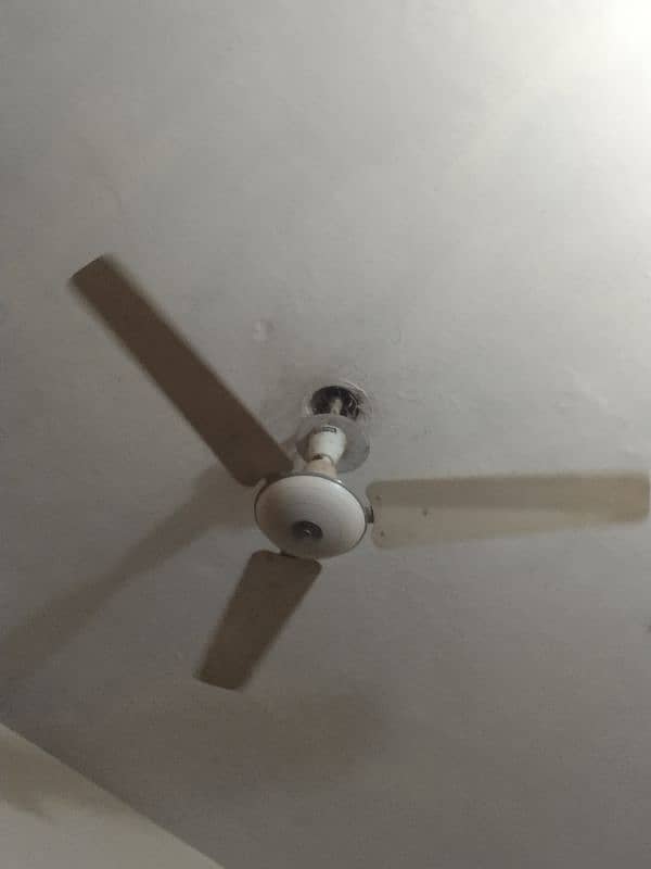 Ceiling fan for sale. . . 0