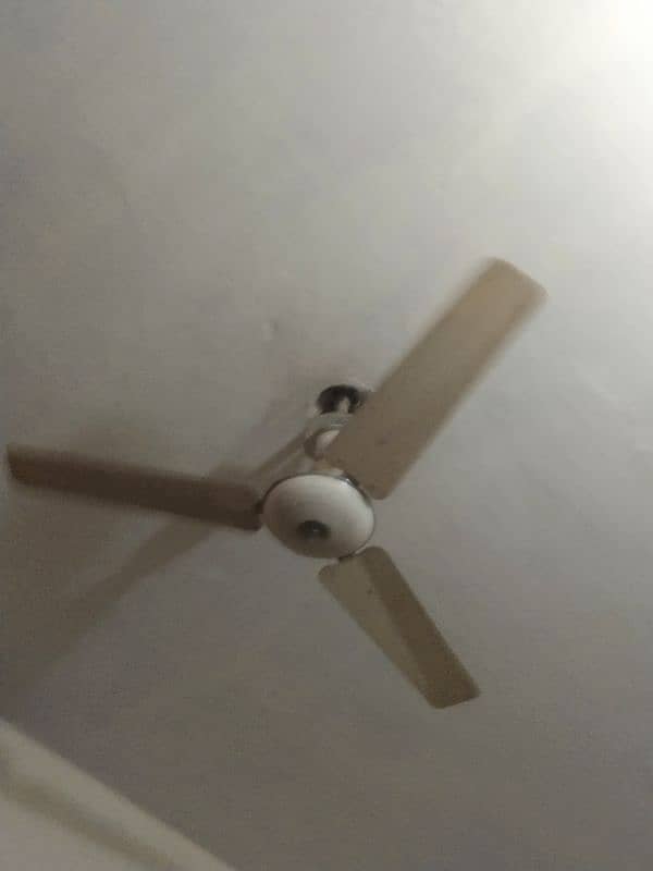 Ceiling fan for sale. . . 1