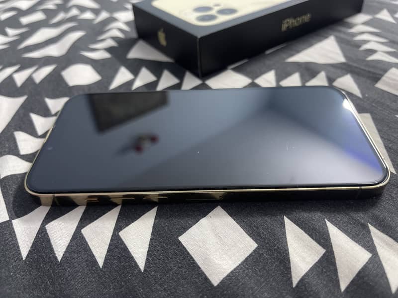 Apple iPhone 13 Pro Max 1