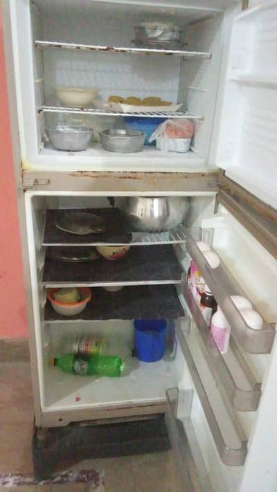 dawalance frij jenwin condition mn