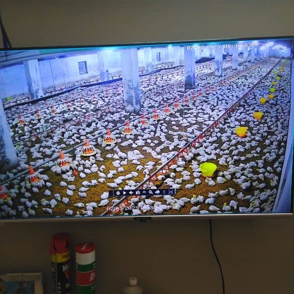 CCTV  Dahua / Pollo / Hikvision 2 mp & 5 mp Cameras Security & WiFi 4