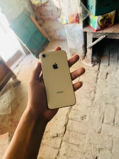 iPhone 8 waterpac phone for sale