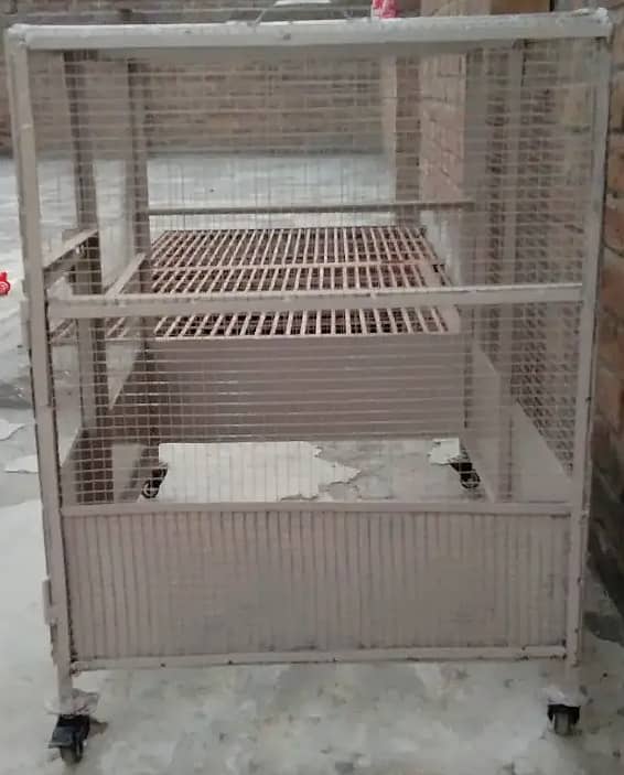 Aseel hen cage (Solid Iran Cage) 1