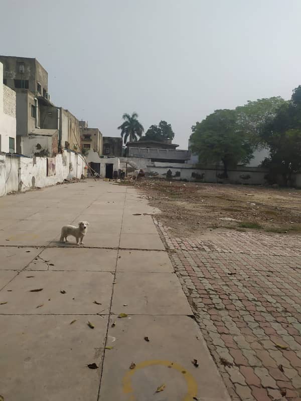BIG PLOT 10 KANAL IN MAIN CANTT 2