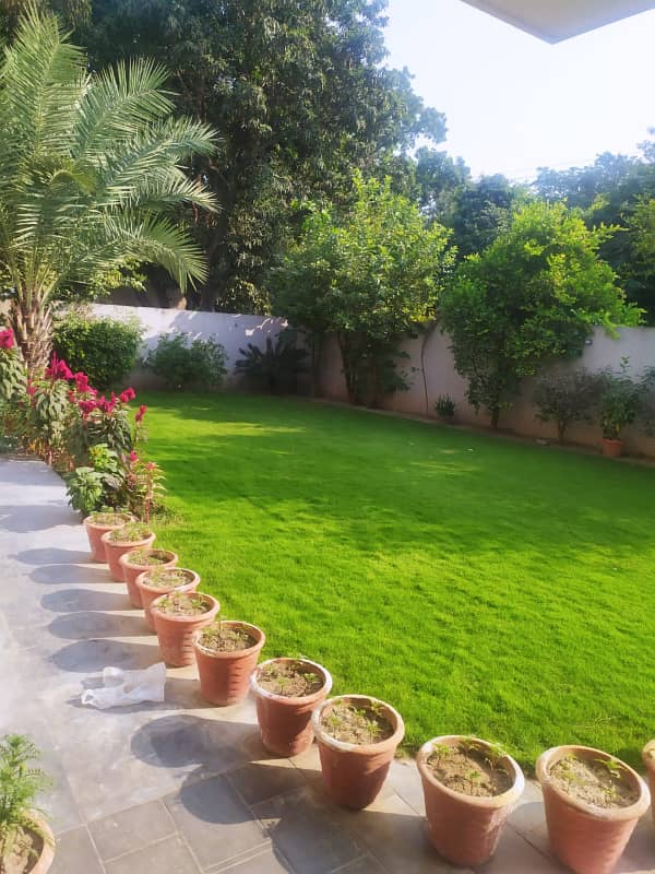 BIG PLOT 10 KANAL IN MAIN CANTT 5