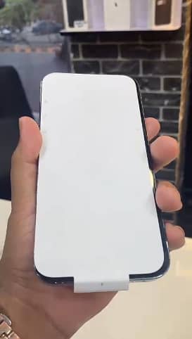 Apple iPhone 13 Pro Max 2