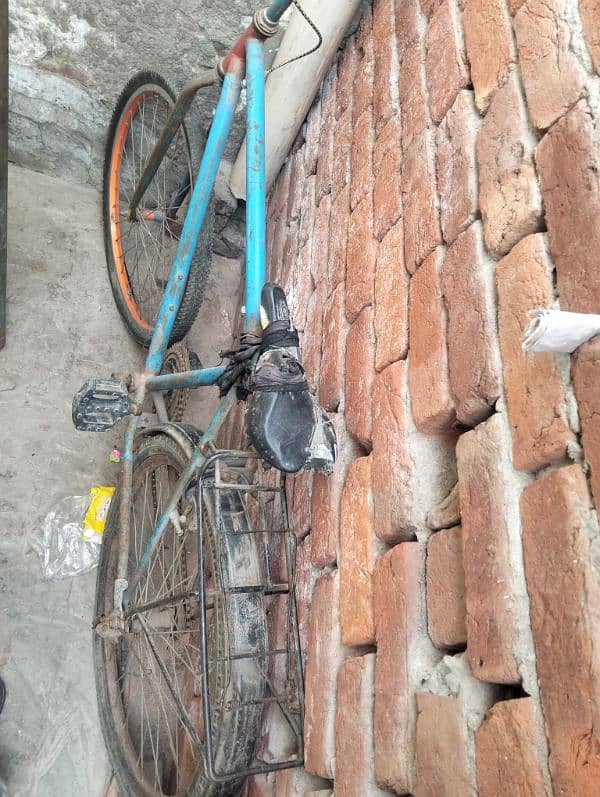 The best bicycle 1