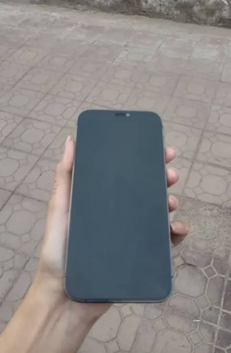 Apple iPhone 12 1