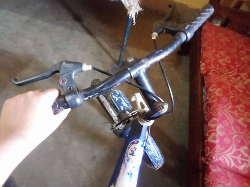 Bicycle 1