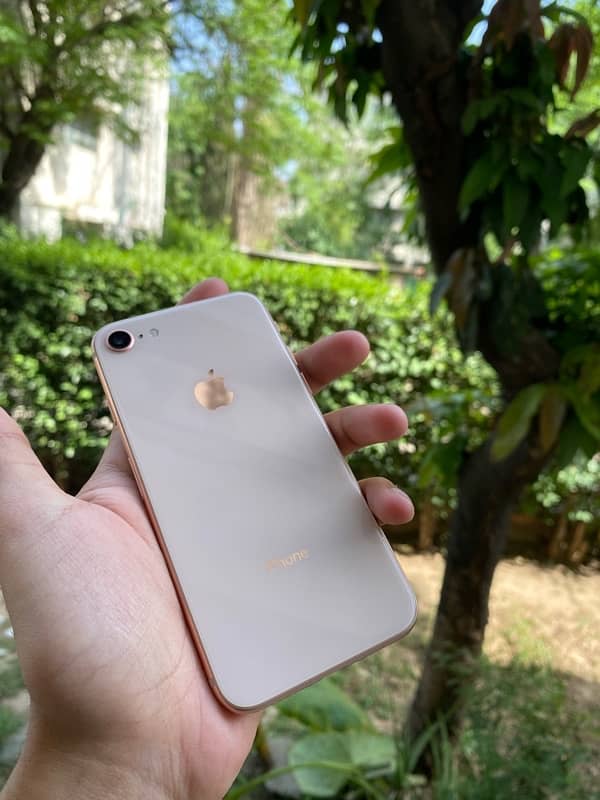 iphone 8 bypass 0