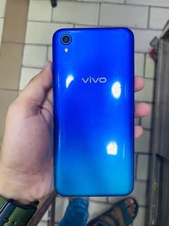 VIVO