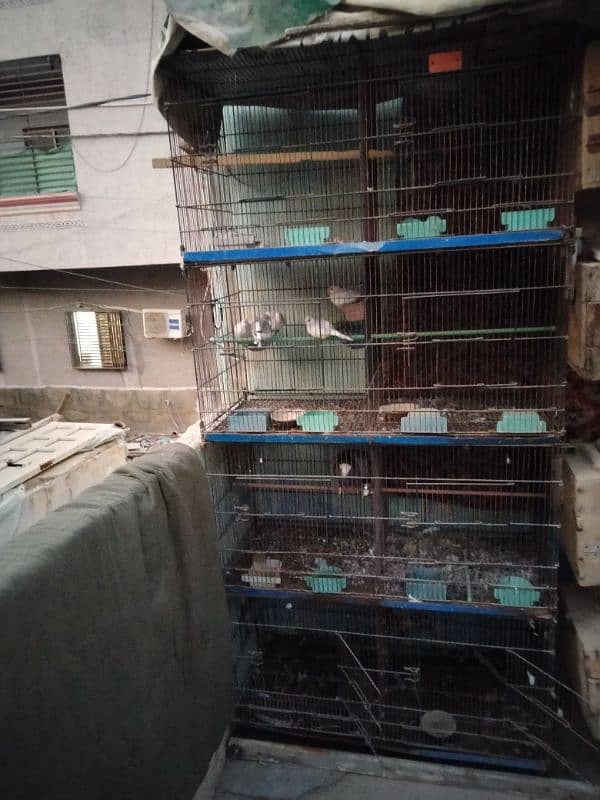 1.5x1.5 cage 8 portions 0