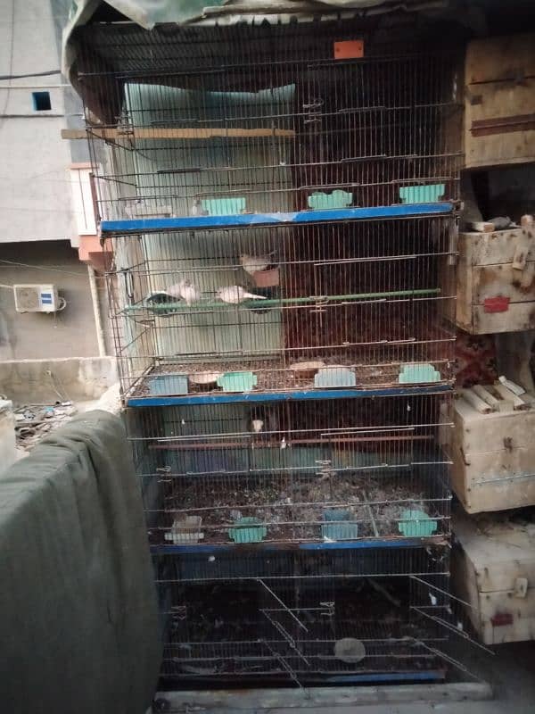 1.5x1.5 cage 8 portions 1