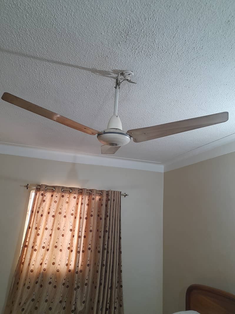 Ceiling Pak Fan Large 1