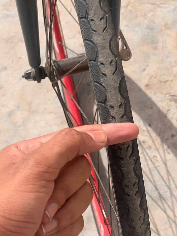 AlTO.  BICYCLE IMPORTED 2