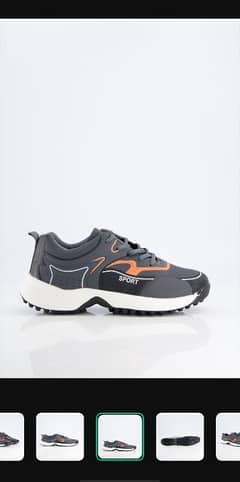 sport