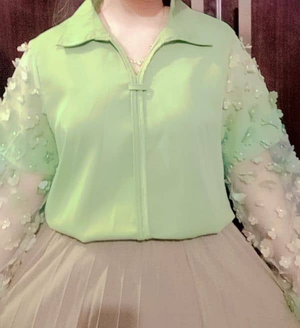 Skirt and shirt 2