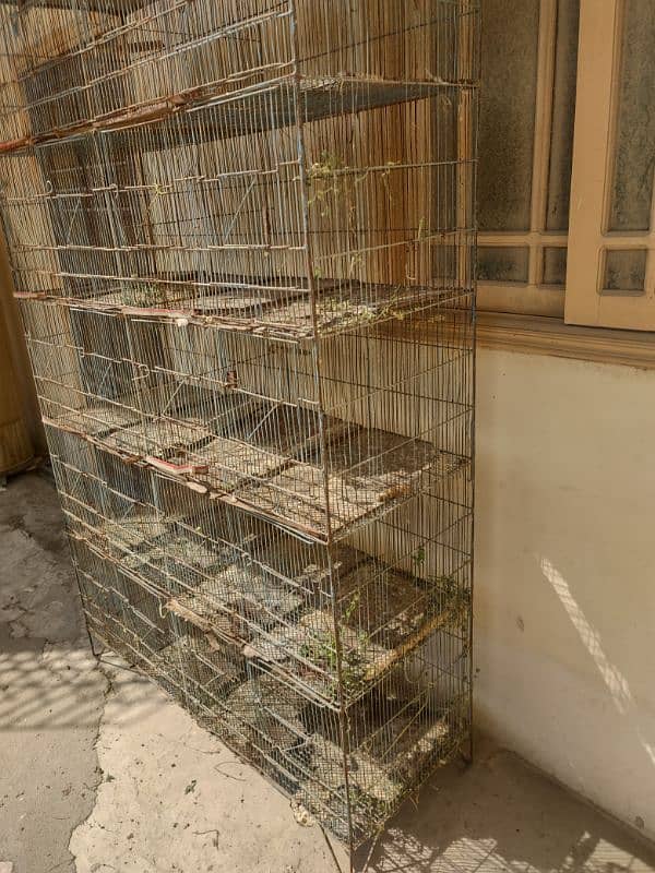 Love birds & Iron cages 1