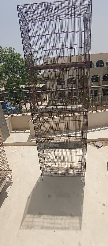 Love birds & Iron cages 4