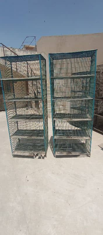 Love birds & Iron cages 5