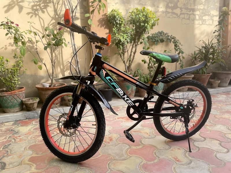 New Bicycle 1