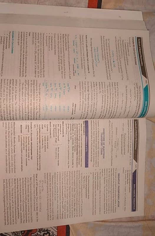 Textbook of Biochemistry by MN Chatterjee 2
